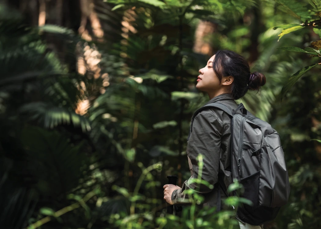 Indulge in the Japanese art of “forest bathing” or “shinrin-yoku”.