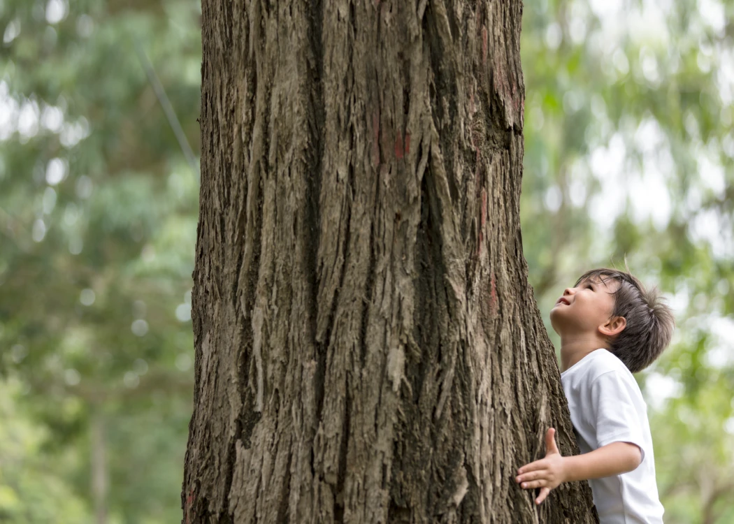 The Bukit Timah Nature Reserve is home to over 400 species of trees.